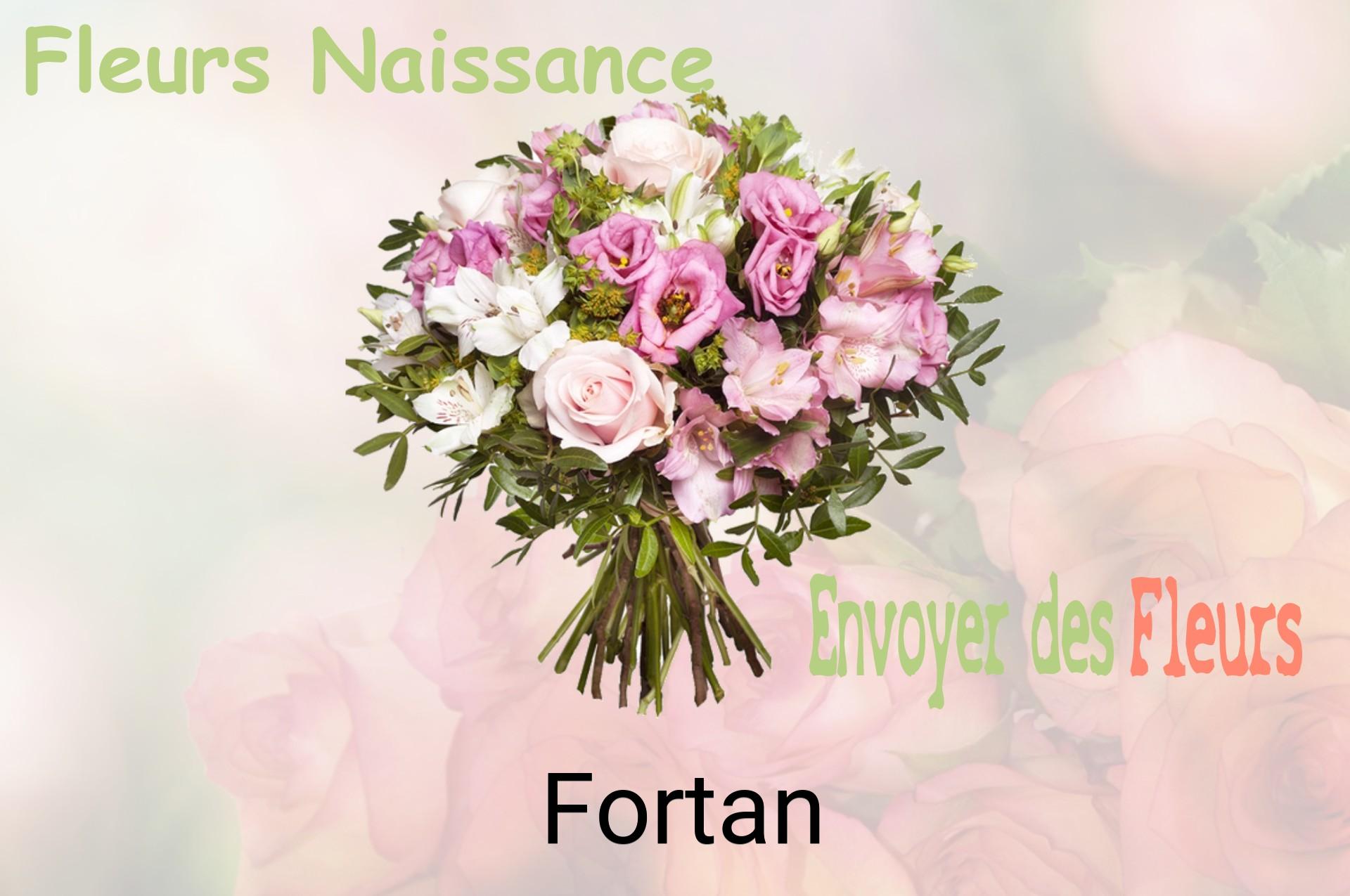 Bouquet de fleurs de naissance livré à Fortan